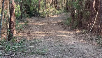 Land Clearing for South Mississippi Land Management LLC in Columbia, Mississippi