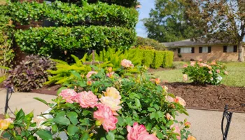 Mowing for Bruno's Professional Lawn's & Landscape in Beaumont, TX
