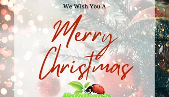 Pricing for Kathleen's Lawn & Shrub Care in Augusta, GA