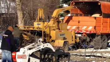 Tree Removal for Allstate Tree Service in Fridley, MN