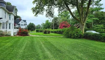 Mowing for DB Land Management in Seaford, DE