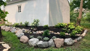 Tree Removal for Tree ReLeaf in Manalapan, NJ