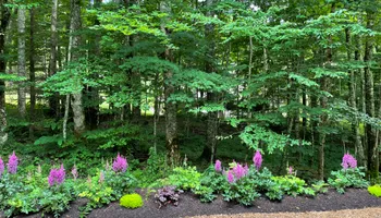 Mowing for Sustainable Lawn and Landscape in Banner Elk, NC