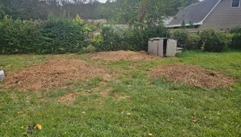 Stump Grinding for Anchor & Grind Stump in Chesapeake, VA