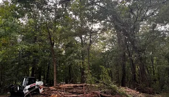 Land Clearing for Michael Way Acres in Woodlawn, TN