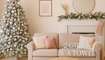 Residential Cleaning for 2 Girls & A Towel in Springfield, MO