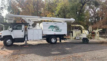 Tree Removal for Lalo's Tree Service in Willows, CA