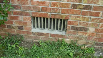 Pest Control for Volunteer Pest Solutions in Knoxville, TN