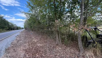 Land Clearing for Mud Creek Vegetation Management in Russellville, AL