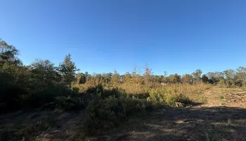 Land Clearing for Mud Creek Vegetation Management in Russellville, AL
