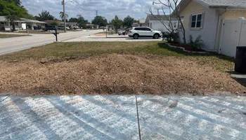Stump Grinding for Busy Beaver Stump Removal, Inc in Clearwater, FL