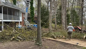 Tree Removal for Lakeside Tree Experts LLC in Hartwell, GA