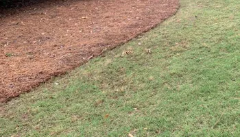 Mowing for Bega Landscape Services in Atlanta, Georgia