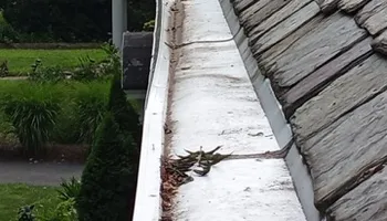 Roofing Installation for Noble Roofing in Lackawanna County, PA