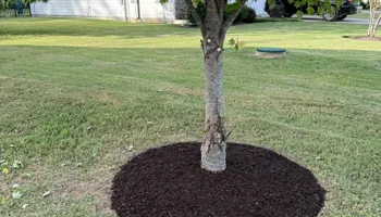 Landscape Design for Arnold’s Outdoor Solutions in Woodbury, TN