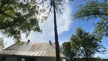 Tree Removal for VA Landgrowth LLC in Lexington, VA