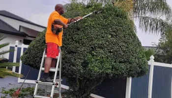 Lawn Maintenance for V Man Services LLC in Middleburg, FL