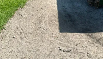 Mowing for Perfect MOs Landscaping  in Hudson, FL