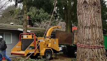 Tree Removal for A&J WA Tree Services in Kent, WA