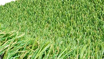 wholesale turf sales for Keep It Green Turf LLC in Calhoun, GA