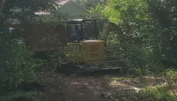 Tree Removal for Puckett's Tree Service in Decatur County, TN