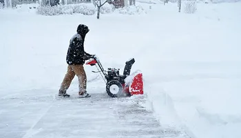 Commercial Landscaping for Trim Seasonal Services in Milwaukee, WI