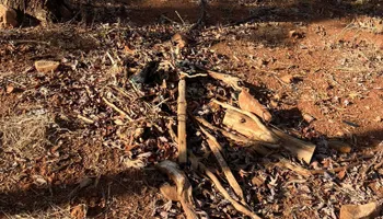 Land Clearing for Gibson Grade Works in Towns County, GA