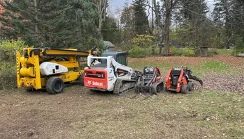 Tree Removal for Mays Tree and Stump Removal in Alden, NY