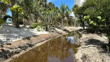 Land Clearing for McLeran in Naples, FL
