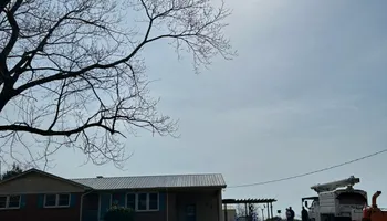 Tree Removal for Brooks Tree Service in Casar, NC