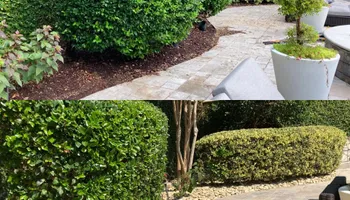Land Clearing for White Sands Landscaping in Myrtle Beach, SC