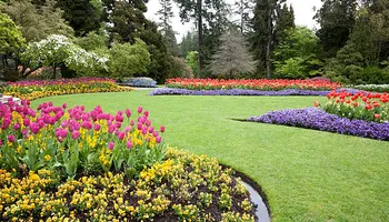 Lawn Care for Pro-Care LLC in Hudson, WI