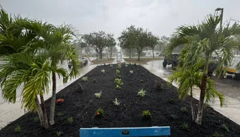 Stump Grinding for Rize N’ Grind  in Punta Gorda, FL