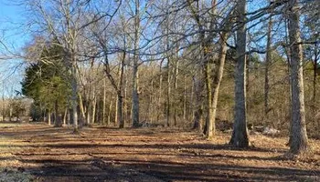 Land Clearing & Demolition for Green Land Management in Mount Pleasant, TN