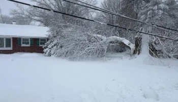 Tree Removal for Etherton’s Tree Service in Quinton, NJ