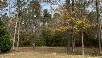 Lawn Maintenance for C + C Landscaping in Chesterfield, VA