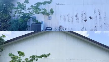 Interior Painting for Pardon My Painting in St. Petersburg, FL