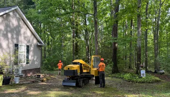 Tree Removal for Ross Family Tree Service LLC  in Hohenwald, TN