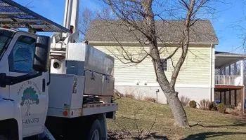 Tree Removal for Gray's Tree Service  in Shenandoah County, VA