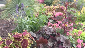 Commercial Maintenance/Installs for Urban Lawn & Landscape in Oklahoma City, OK