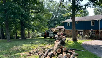 Tree Removal for Kadin’s Tree Service in North Vernon, IN