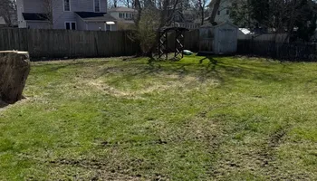 Tree Removal for Licensed to Cut Tree Service in Athens, PA