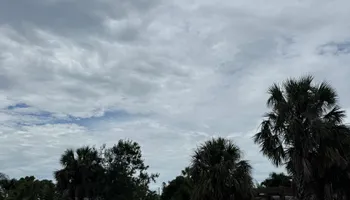 Tree Removal for Lemon Bay Tree Service  in Englewood, FL