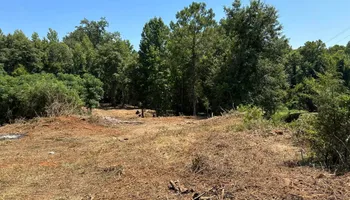 Land Clearing & Demolition for Central Alabama Site Works in Selma, AL