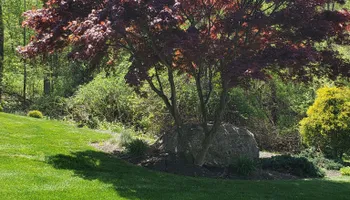Mowing for Matty L's Lawn and Tree Care in Monroe, CT