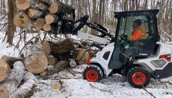 Tree Removal for Village Tree Service  in Whitestown, IN