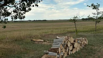 Tree Removal for Graham’s Tree Services in Pierce, CO