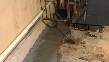 Epoxy Floor Coating for EMR Epoxy Flooring & Waterproofing in Linden, NJ