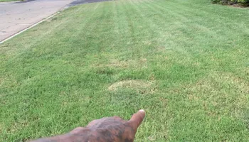 Junk Removal for Father & Son Lawn Care in Harker Heights, TX