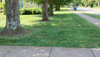Mowing for Mark's Lawn Care in Mount Pleasant, TN